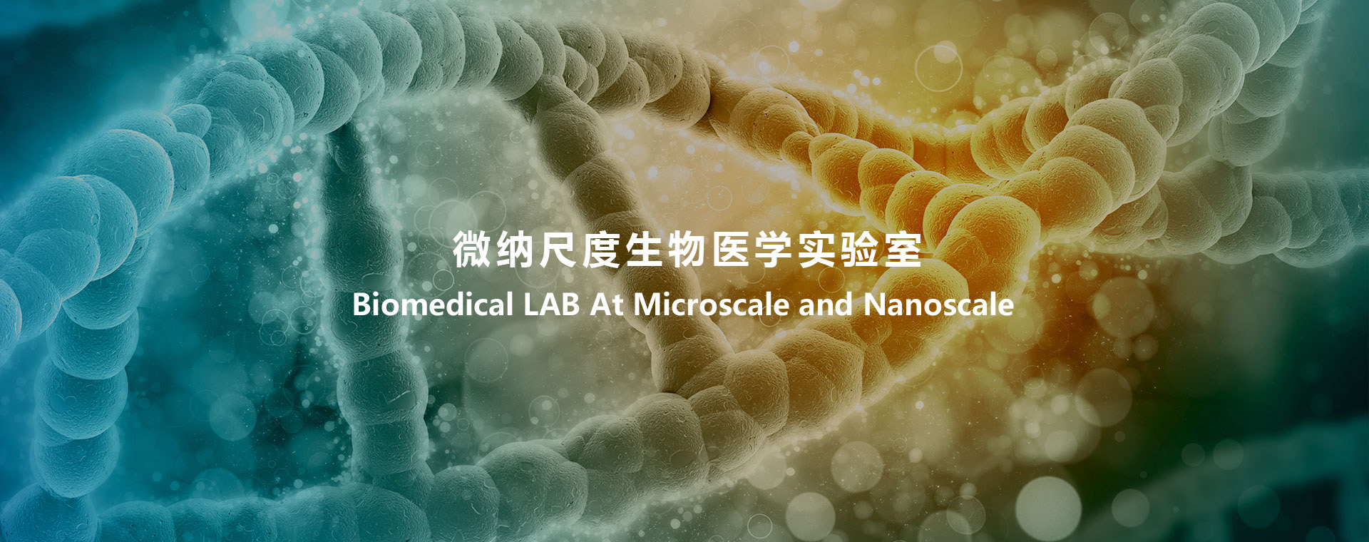 Biomedical LAB At Micro & Nano Scale